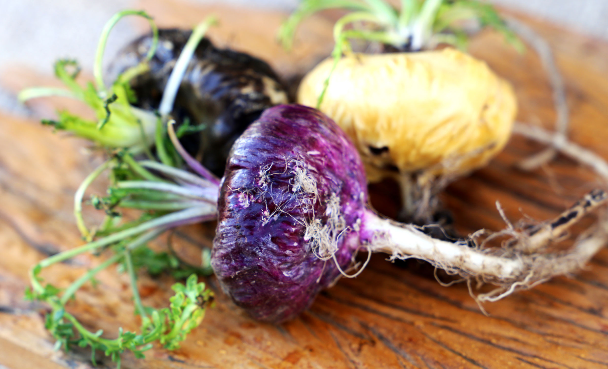 Maca-Knolle aus Peru, natürliches Aphrodisiakum und Hormonregulator Sex Wechsel Frau Libido Mann Potenz