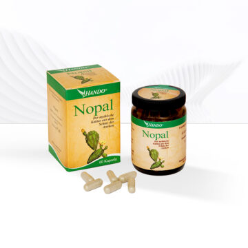 Nopal, auch als Opuntia streptacantha oder Opuntia ficus indica bekannt, ist ein Kaktus, der traditionell zur Regulierung des Blutzuckerspiegels und zur Unterstützung des Cholesterinwertes verwendet wird. Die HANDO®Nopal Kapseln enthalten das Pulver dieses wertvollen Kaktus, hergestellt aus wildwachsenden Kakteen aus unberührten Ökosystemen in Mexiko.