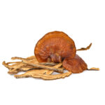 Reishi-Pilz zur Stärkung des Immunsystems und Unterstützung des Herz-Kreislauf-Systems Leber Heilung Allergien LingZhi Vitalpilz Reishi Extrakt kaufen, Geprüftes Reishi-Pulver in Premiumqualität, Extrakt und Vitalpilzpulver Kapseln, Naturheilkraft in geprüfter Qualität, Reishi Extrakt Kapseln, Original