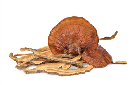 Reishi-Pilz zur Stärkung des Immunsystems und Unterstützung des Herz-Kreislauf-Systems Leber Heilung Allergien LingZhi