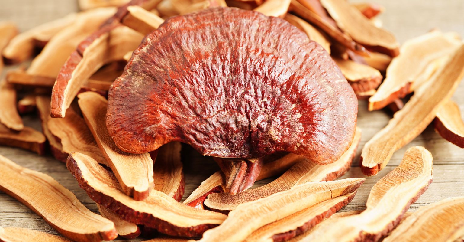 Reishi-Pilz zur Stärkung des Immunsystems und Unterstützung des Herz-Kreislauf-Systems Leber Heilung Allergien LingZhi